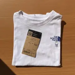 THE NORTH FACE TシャツShiretoko Toko Tee