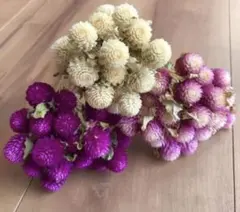 ❇パンダ❇プロフ必読!様 リクエスト 2点 まとめ商品