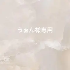 うぉん様専用　オーダーネイルチップ