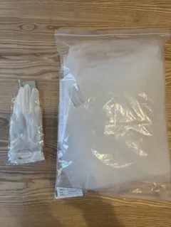 Item thumbnail for item 46e08d08-3113-4e90-bdf9-edfb94f6ea11