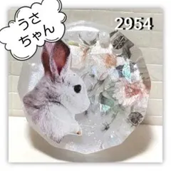 レジン ヘアゴム ドライフラワー ねこちゃん No.185 - メルカリ