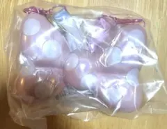 ディズニー　パルパルーザ　ミニーのファンダーランド　スーベニアスナックケース