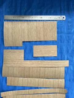 Item thumbnail for item 2f424b32-2a10-4d7f-ae5b-ff31cc6299ce