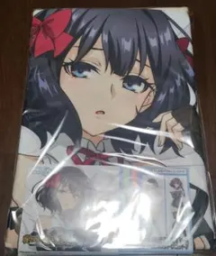 インフィニット・ストラトス 篠ノ之 箒 未開封品 - メルカリ