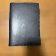 Item thumbnail for item c66b4549-f8b3-4d3f-9e53-fed381bb3bba