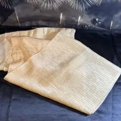 Item thumbnail for item 43c96fcc-a70a-4344-8c60-4ea65b1911fa