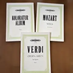 Item thumbnail for item 3337e6c9-ca9d-4bd6-9fda-360cab447763