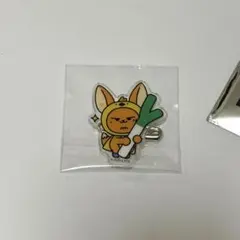 TXT プルバトゥ　アクリルバッジ　ファンチュン　埼玉　ネギ