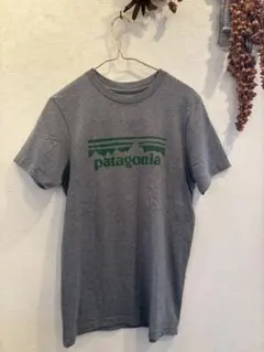 タグなし未使用　patagonia XS スリムフィット Tシャツ グレー