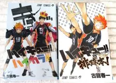 ハイキュー!! ハイカラ!!+排球本セット