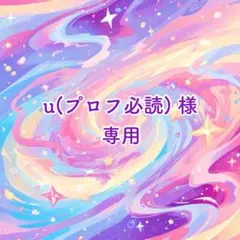 u(プロフ必読)様 専用ページ