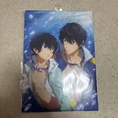 2026年最新】free クリアファイル 遥の人気アイテム - メルカリ