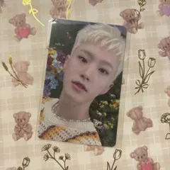 SEVENTEEN☆SECTOR17 weverse