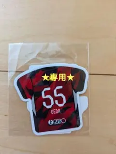 【専用】鹿島アントラーズ　ステッカー　植田直通