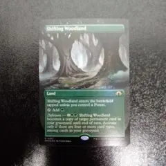 MTG 峰の恐怖 FOIL 日本語版 拡張アート - メルカリ