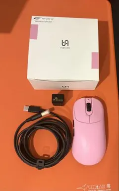 np-01s v2
