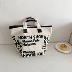 Item thumbnail for item 826a83bc-e368-4a6e-bd93-a64ad3f8fe01