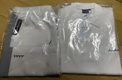 Item thumbnail for item 9d38395e-655a-4d99-acd2-7a8ad680cad6