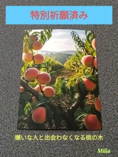 Item thumbnail for item cce11e9f-5144-49d2-94ac-1e0b5d2221d8