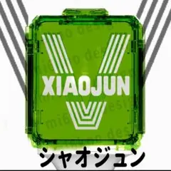 WayV ペンライト ネギ鈍器 ショルダーバッグ 新ペンライト 威神V 肖俊