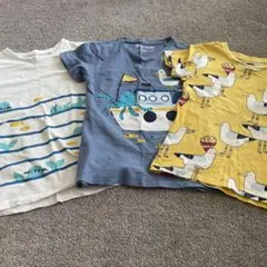 NEXT 海の生き物デザインTシャツ3枚セット　120cm