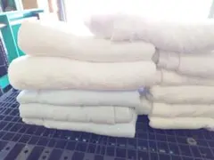 Item thumbnail for item 1cf45eea-8787-49f0-8877-cdcf079110c6