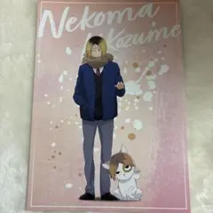 ハイキュー 孤爪研磨 ポストカード Praying