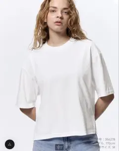 Item thumbnail for item 563db1d8-4b49-403c-a20c-7afd20bc7987