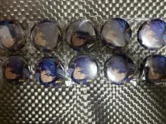 漣ジュン コレクション缶バッジ 2025 may idol 10点