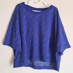 Reebok CLASSIC ロゴ総柄 Tシャツ ブルーのサムネイル