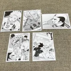 ハイキュー 10th クロニクル 思い出スナップフォトカード 音駒 セット
