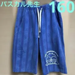 キッズ　春夏　160 パスカル先生　ロゴプリントハーフパンツ　青