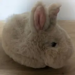 フェリシモ 子うさぎ ポーチ うさぎ ウサギ YOU＋MORE