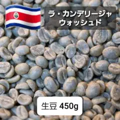 【コーヒー生豆】コスタリカ 450g