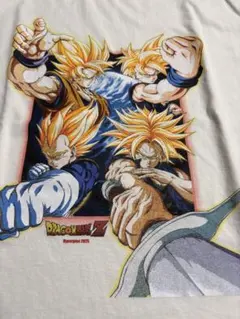 【レア/新品】ドラゴンボールZ　Z戦士たち　Lサイズ/U.S.ブート
