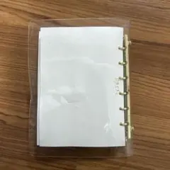 Item thumbnail for item 796464e3-b782-4a42-a74a-a2bfba8a579f