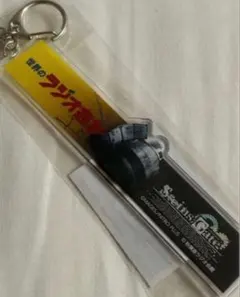 슈타인즈게이트 슈타게 아크릴 열쇠 고리 간판 라디오 회관 라디칸