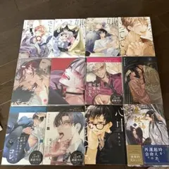 ボーイズラブまとめ売り 商業BL漫画 闇系 DomSub 特殊系 刺激強め