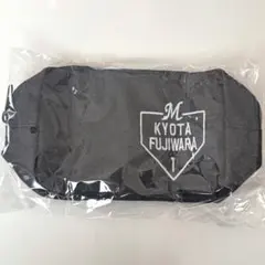 Item thumbnail for item d09f6082-1d63-49fe-b0a4-3ebf009e3e5e