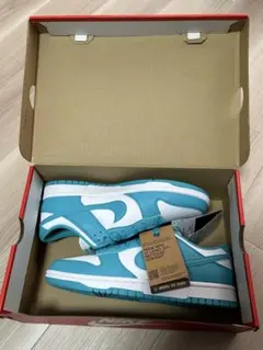 【新品・未使用】 ナイキ ダンクロー ネクストネイチャー 28cm NIKE