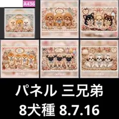 オーダーページ パネル チワワ集合 8.7.25 - メルカリ