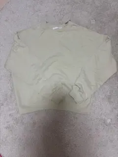 Item thumbnail for item e1941312-016d-4656-ac0a-4453921f4140