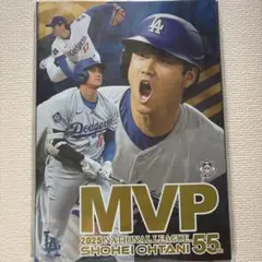 北海道日本ファイターズ 大谷翔平デザインチケット1枚 札幌ドーム 超