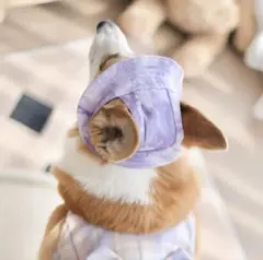 犬服　犬用帽子　夏対策　フレンチブルドッグ　パグ　コーギー　柴犬　トイプードルのサムネイル