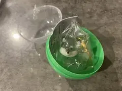 うちの子のけだまだま　限定アソート　黒柴