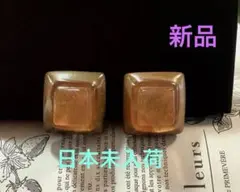 DOMINIQUE DENAIVE イヤリング　ライトブラウン⑧