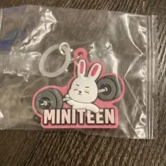 seventeen ミニティーン　エスクプス 2026年最新】ミニティーン seventeen エスクプスの人気アイテム - メルカリ