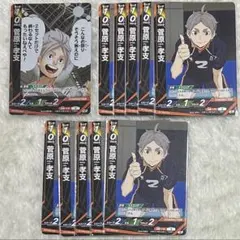 つ*な様 ハイキュー!! バボカ 菅原