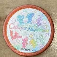 ダッフィー&フレンズ20周年 カラフルハピネス　ワッペン　全員集合