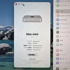 Apple Mac mini 本体 箱付きM2 2023 16GB/256GB